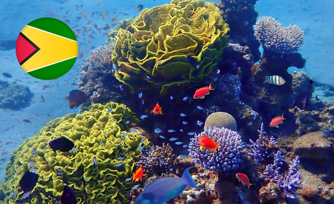 Guyana to lead global alliance for regional biodiversity financing